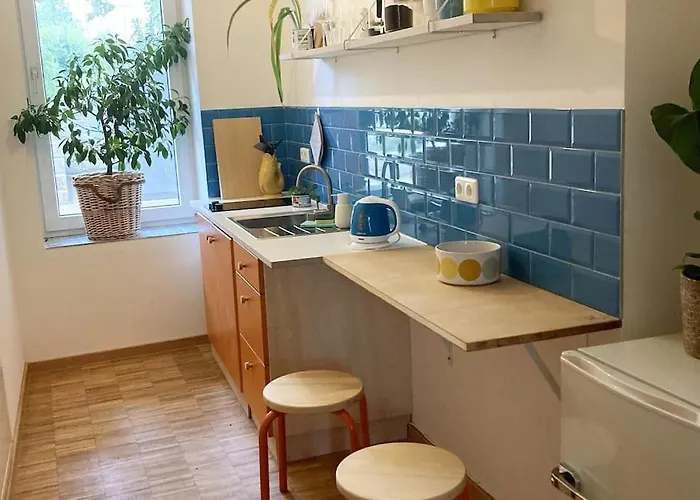 Little Fine Apartment Close To Leipzig
