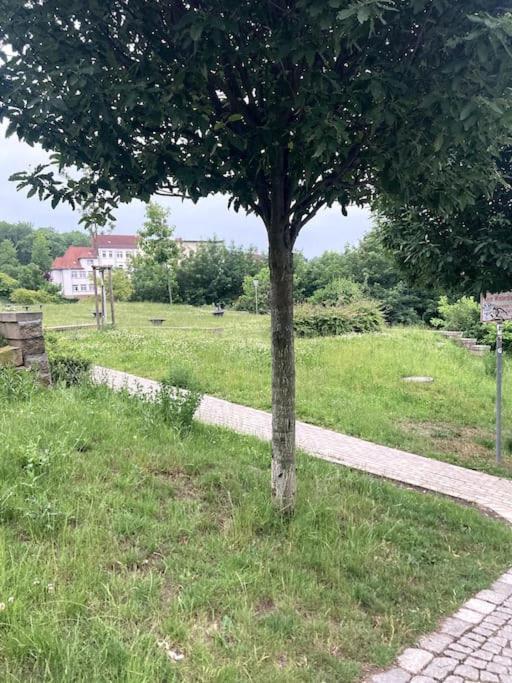 Little Fine Close To Leipzig Apartment *